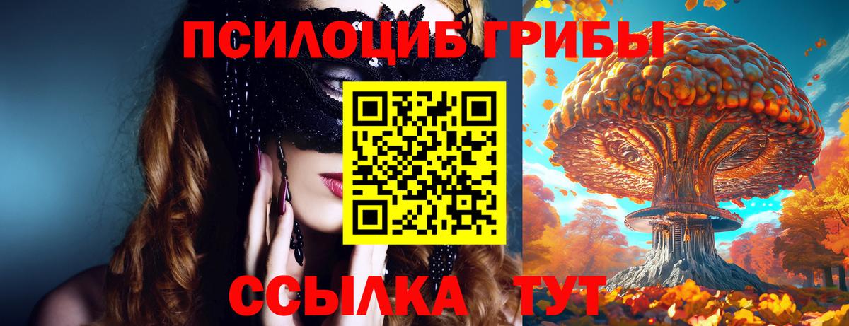 Белая Калитва  Псилоцибиновые грибы мухоморы  Вход с VPN 