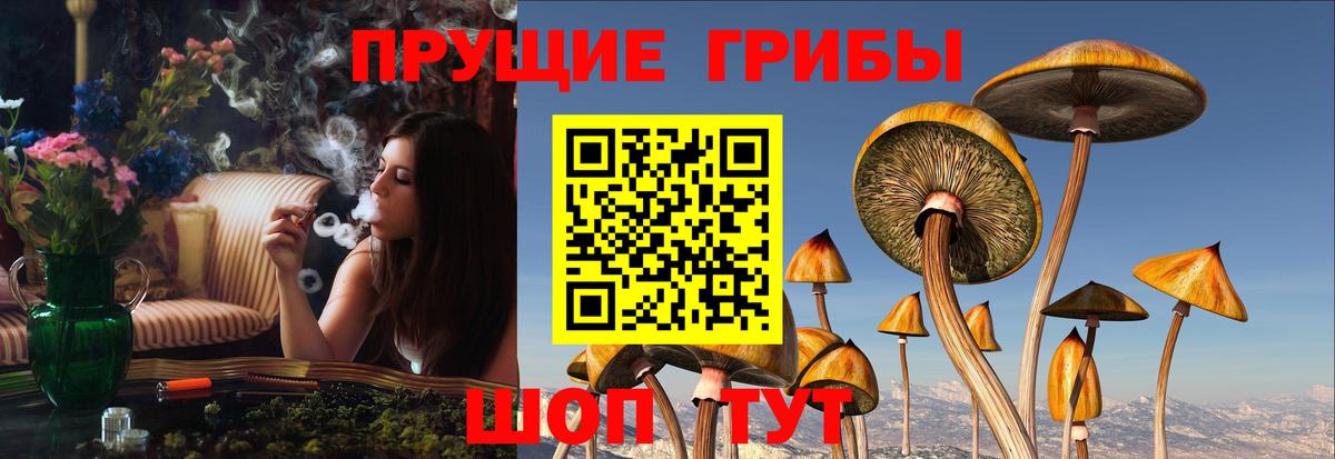 Галлюциногенные грибы Cubensis Белая Калитва